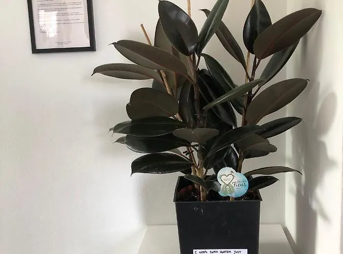 Casa Gaiani In Riva Al Vista Mozzafiato * Varano Borghi