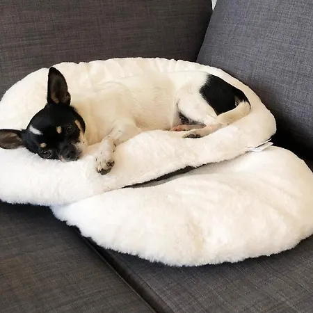 Casa Gaiani In Riva Al Vista Mozzafiato Villa