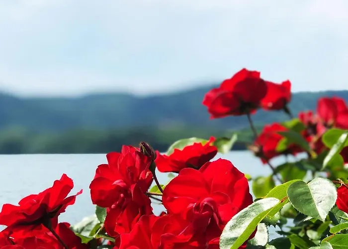 ヴィラ Casa Gaiani In Riva Al Vista Mozzafiato Varano Borghi