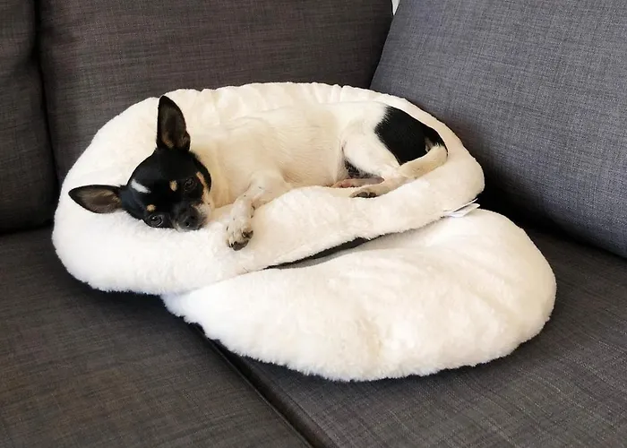 Casa Gaiani In Riva Al Vista Mozzafiato ヴィラ