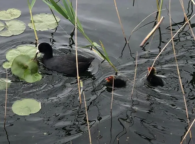 ヴィラ Casa Gaiani In Riva Al Vista Mozzafiato Varano Borghi